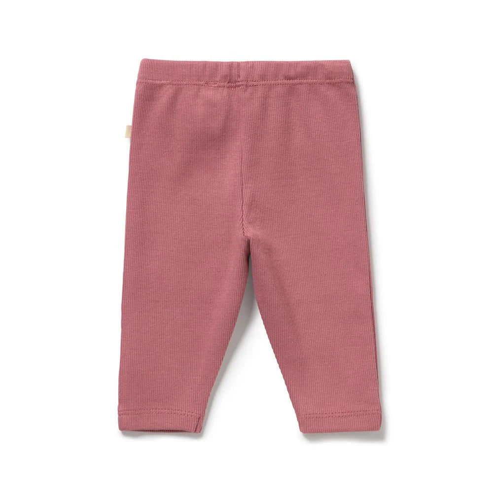 Wilson & Frenchy - Plum Organic Rib Legging