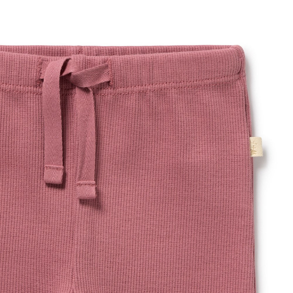 Wilson & Frenchy - Plum Organic Rib Legging
