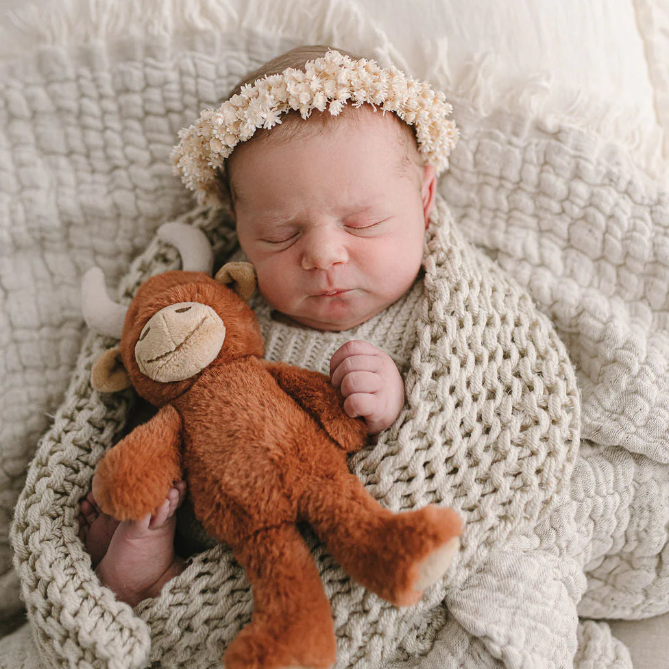 Nana Huchy - Henry the Highland Cow Rattle