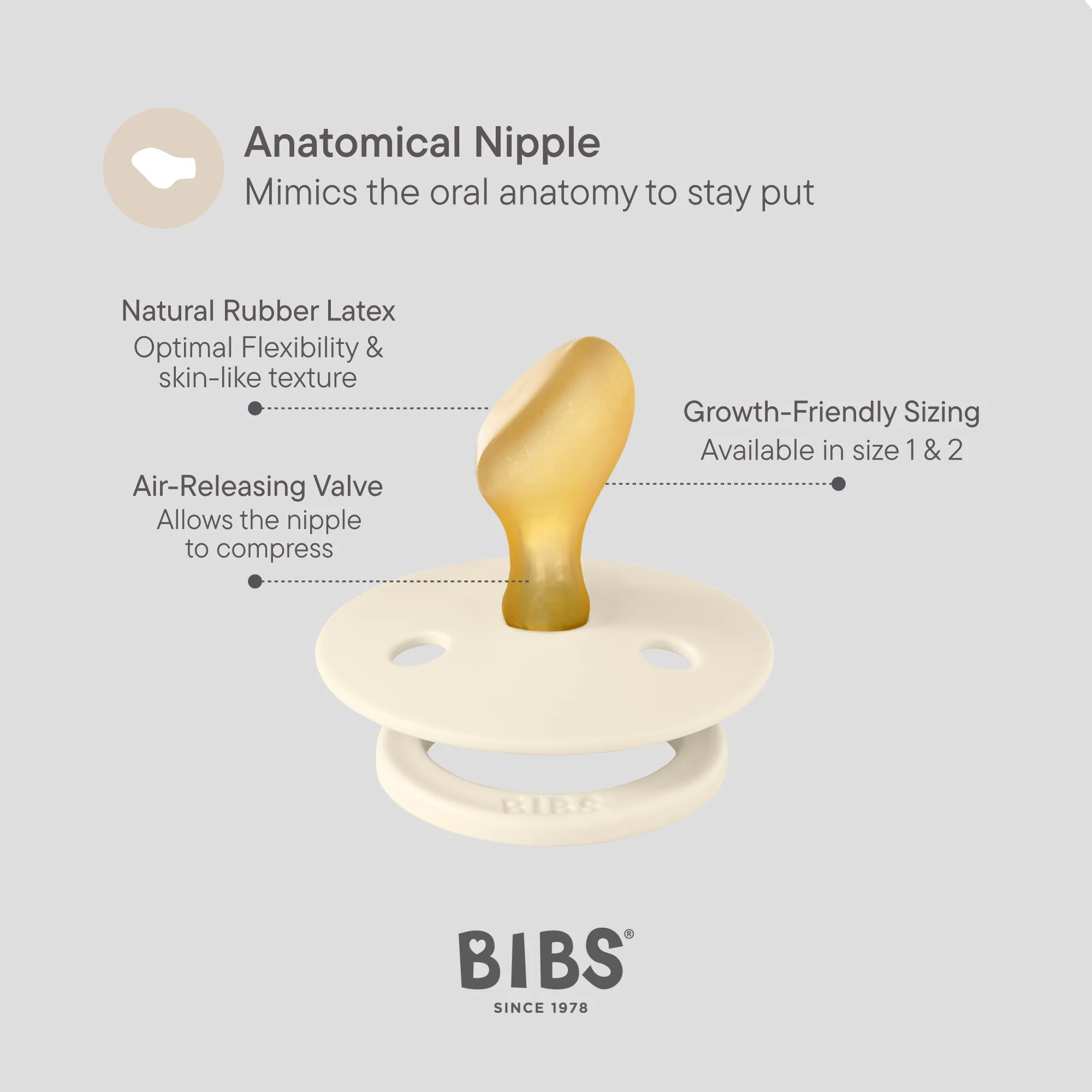 BIBS-  Ivory/Sage Anatomical, Latex (2pk)