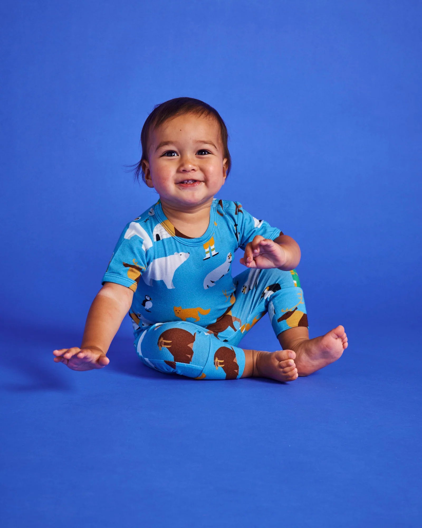 Kip & Co - Arctic Circle Organic Short Sleeve Bodysuit