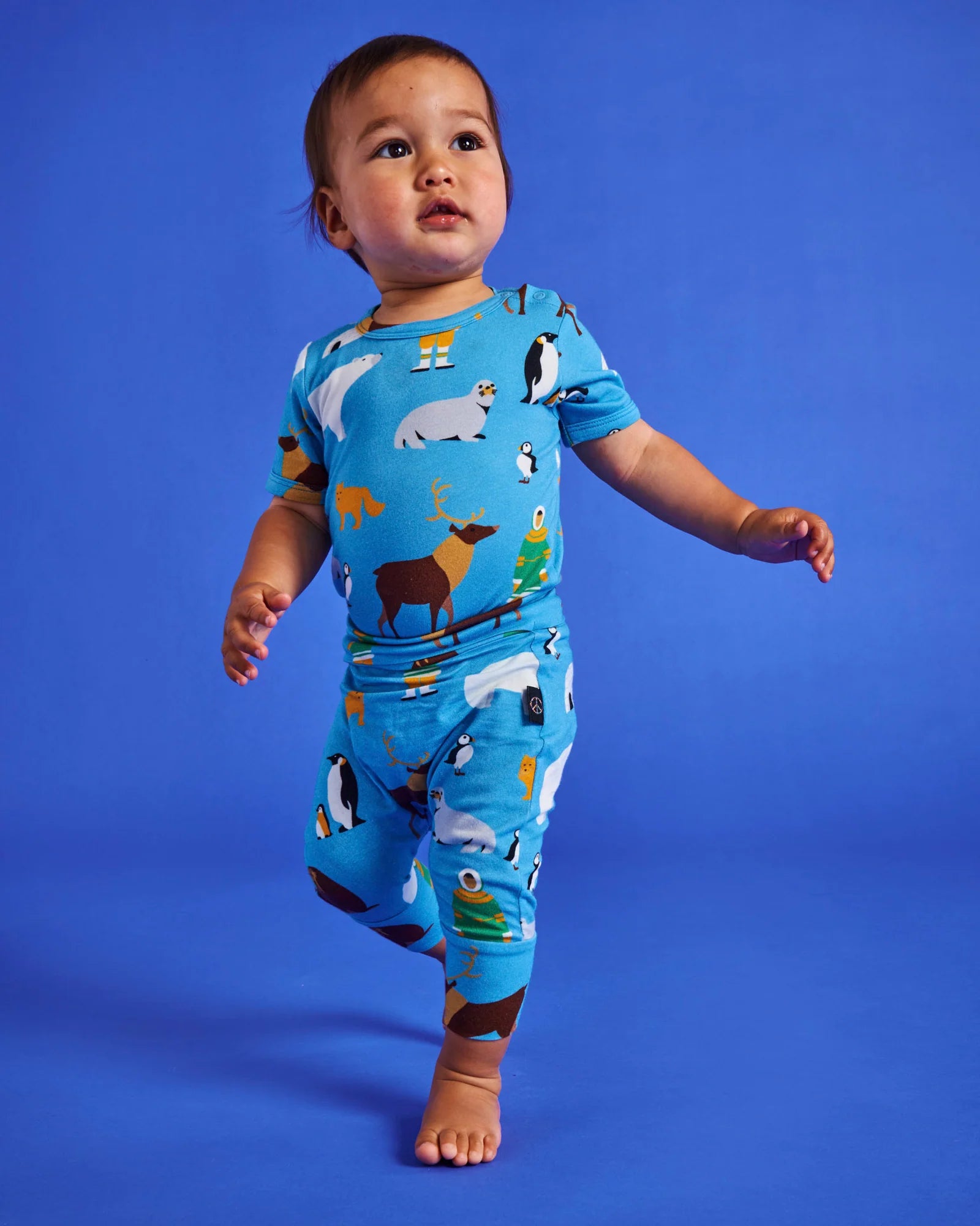 Kip & Co - Arctic Circle Organic Short Sleeve Bodysuit
