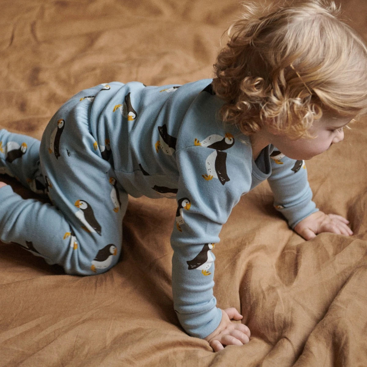Nature Baby - Long Sleeve Pyjama Set - Puffin Print
