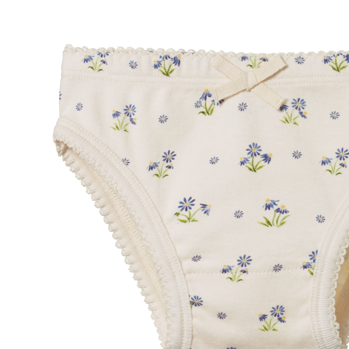Nature Baby - Organic Cotton Knickers - Daisy Daze Print
