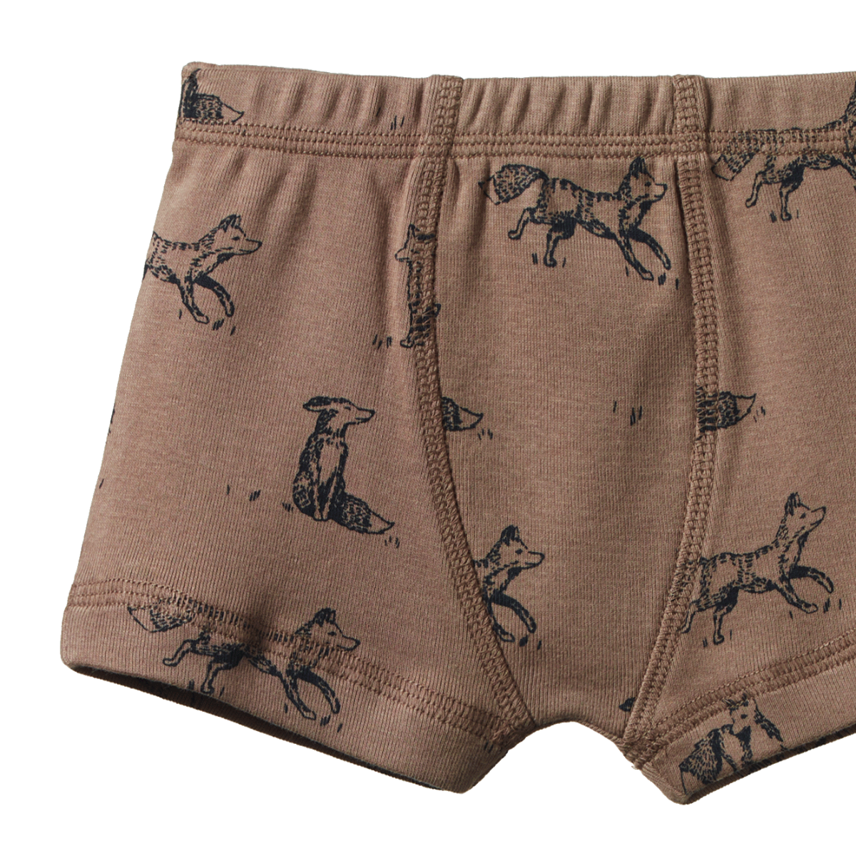 Nature Baby - Boys Boxer Shorts - Little Cub Print