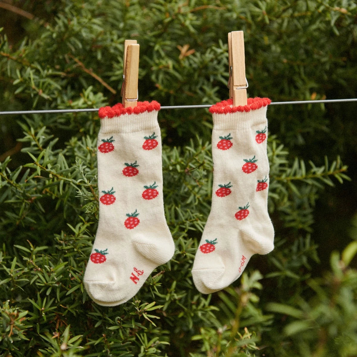 Nature Baby - Organic Cotton Sock - Raspberries