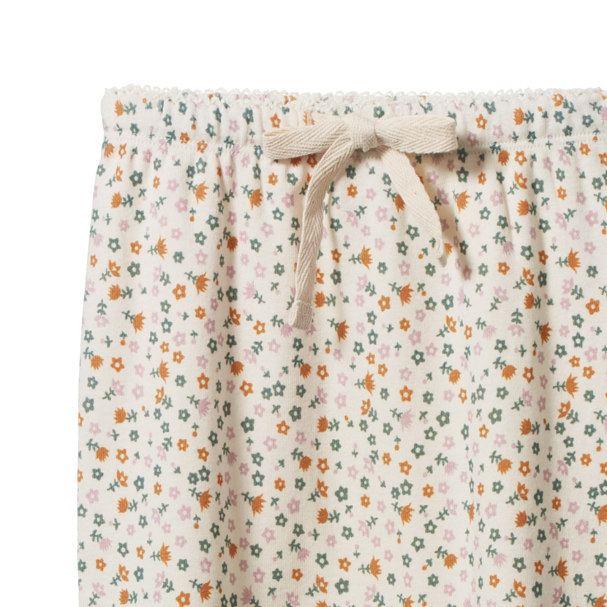 Nature Baby - Cotton Footed Rompers - Pollyanna Print