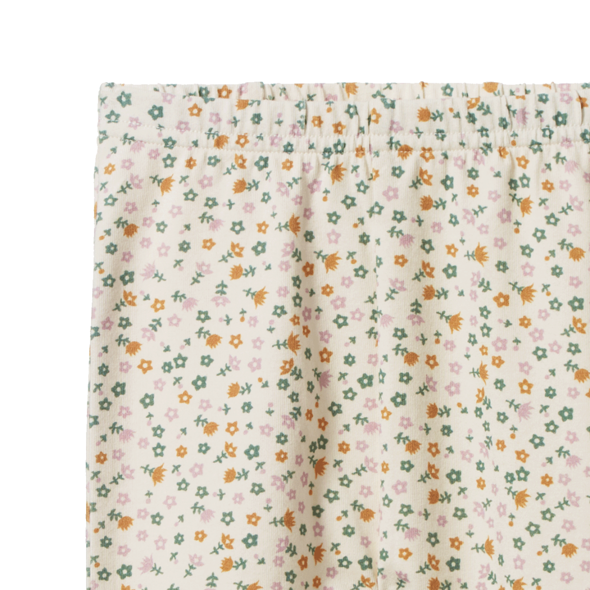 Nature Baby - Legging - Pollyanna Print