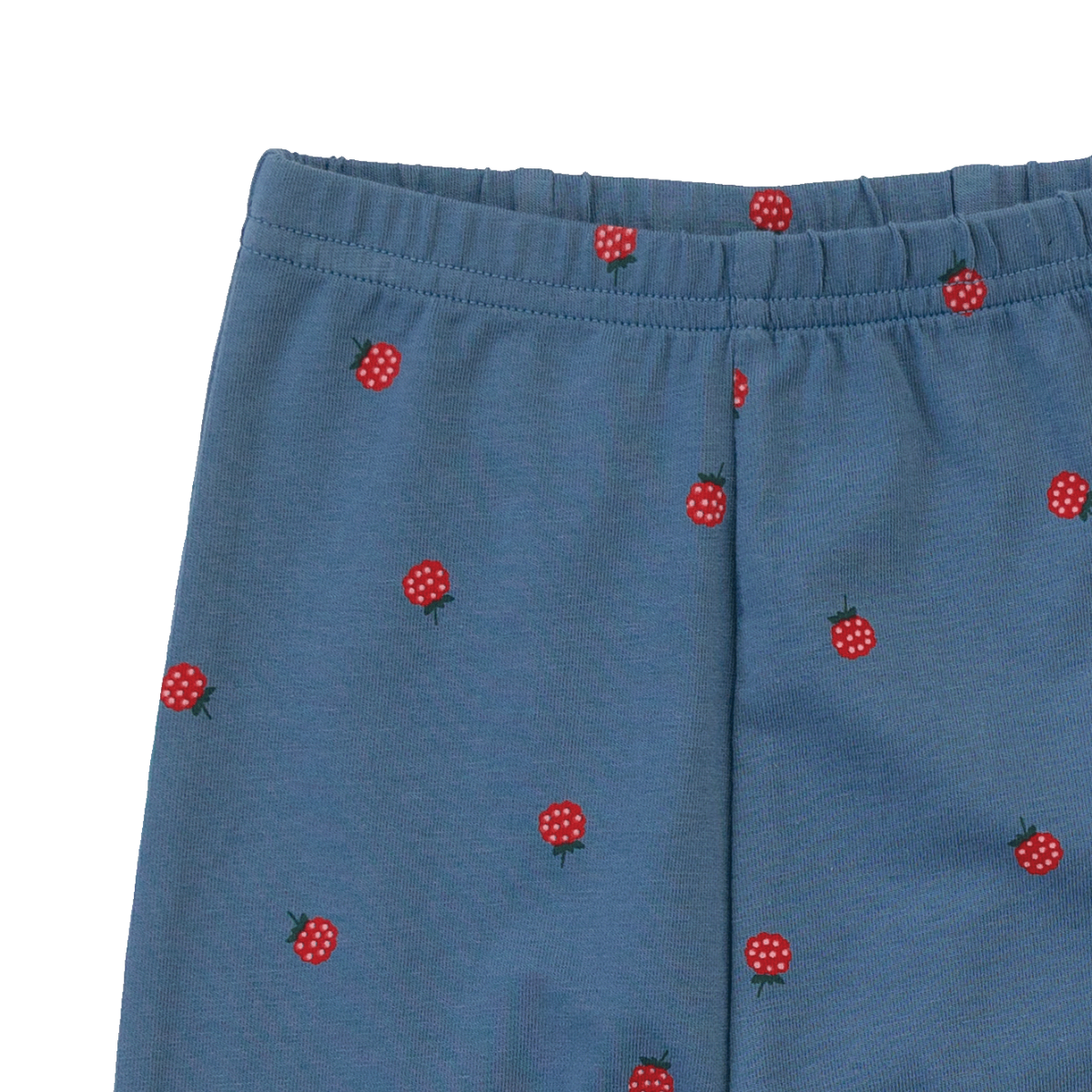 Nature Baby - Legging - Raspberry Blue Print
