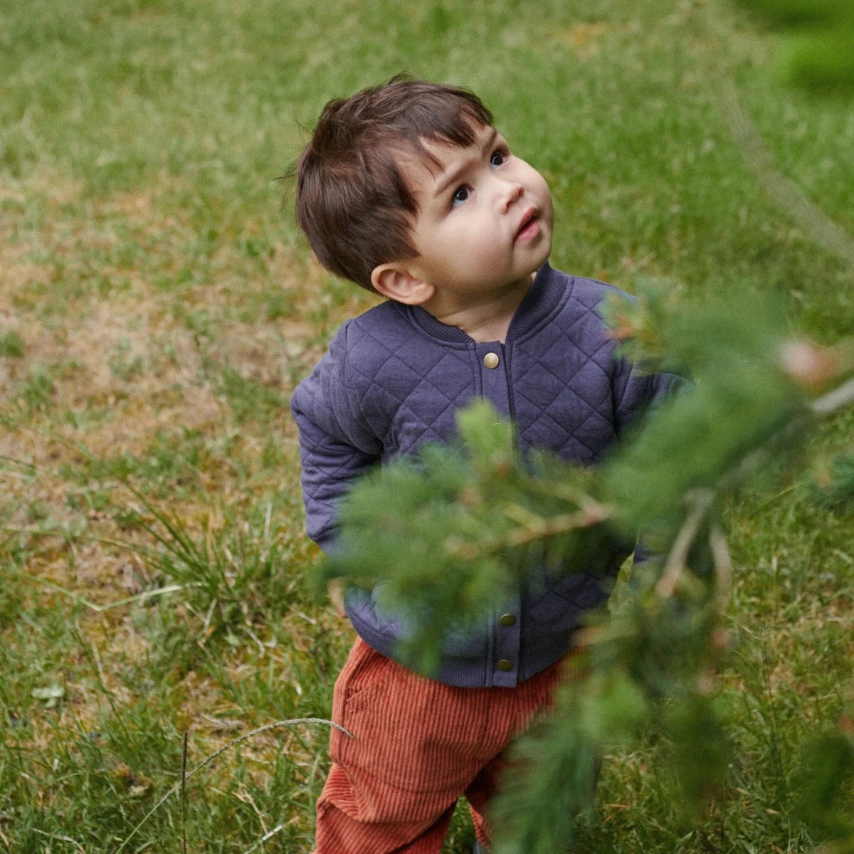 Nature Baby - Parker Quilted Jacket - Mulberry