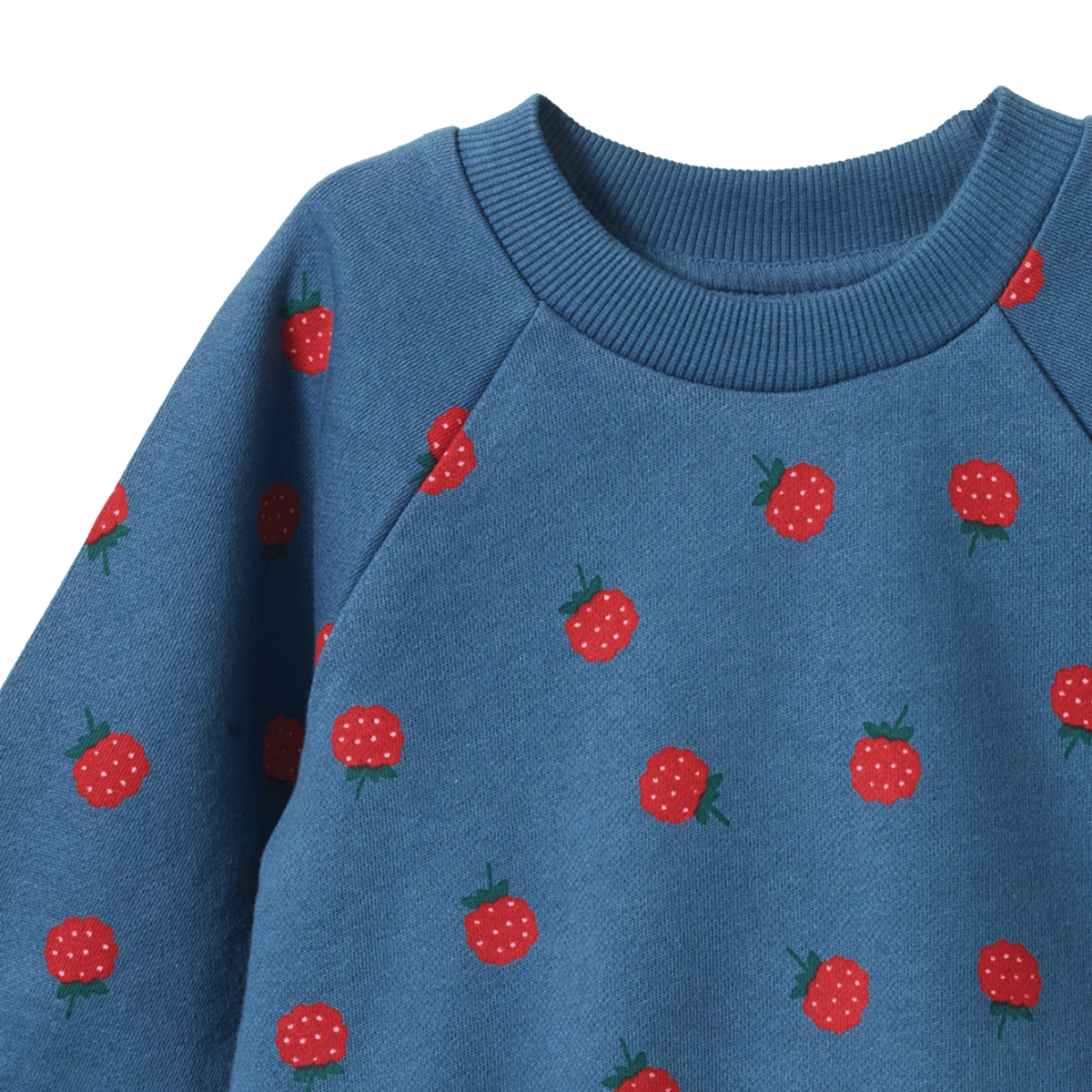 Nature Baby - Emerson Sweater - Raspberry Blue Print