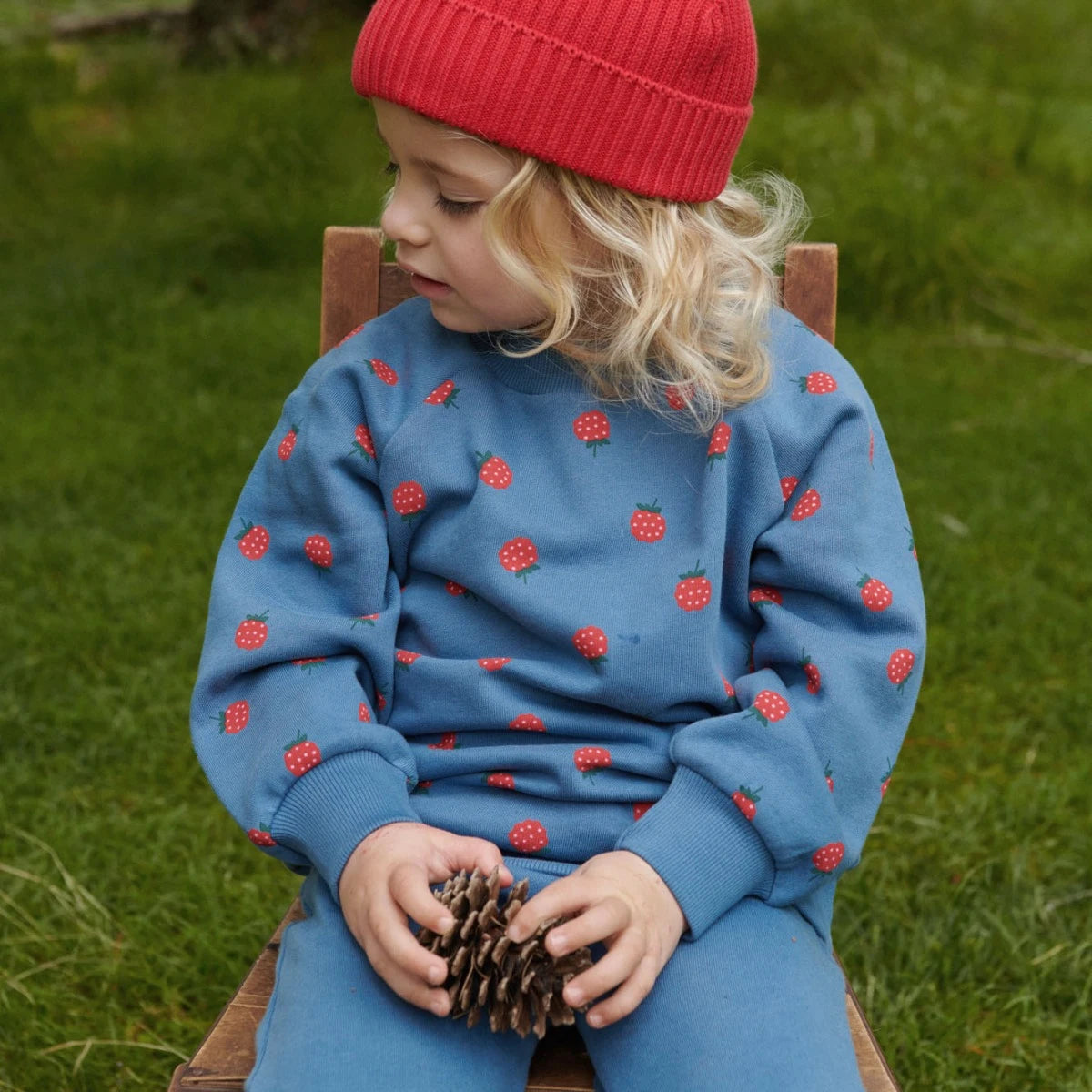 Nature Baby - Emerson Sweater - Raspberry Blue Print