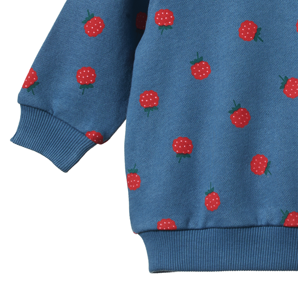 Nature Baby - Emerson Sweater - Raspberry Blue Print