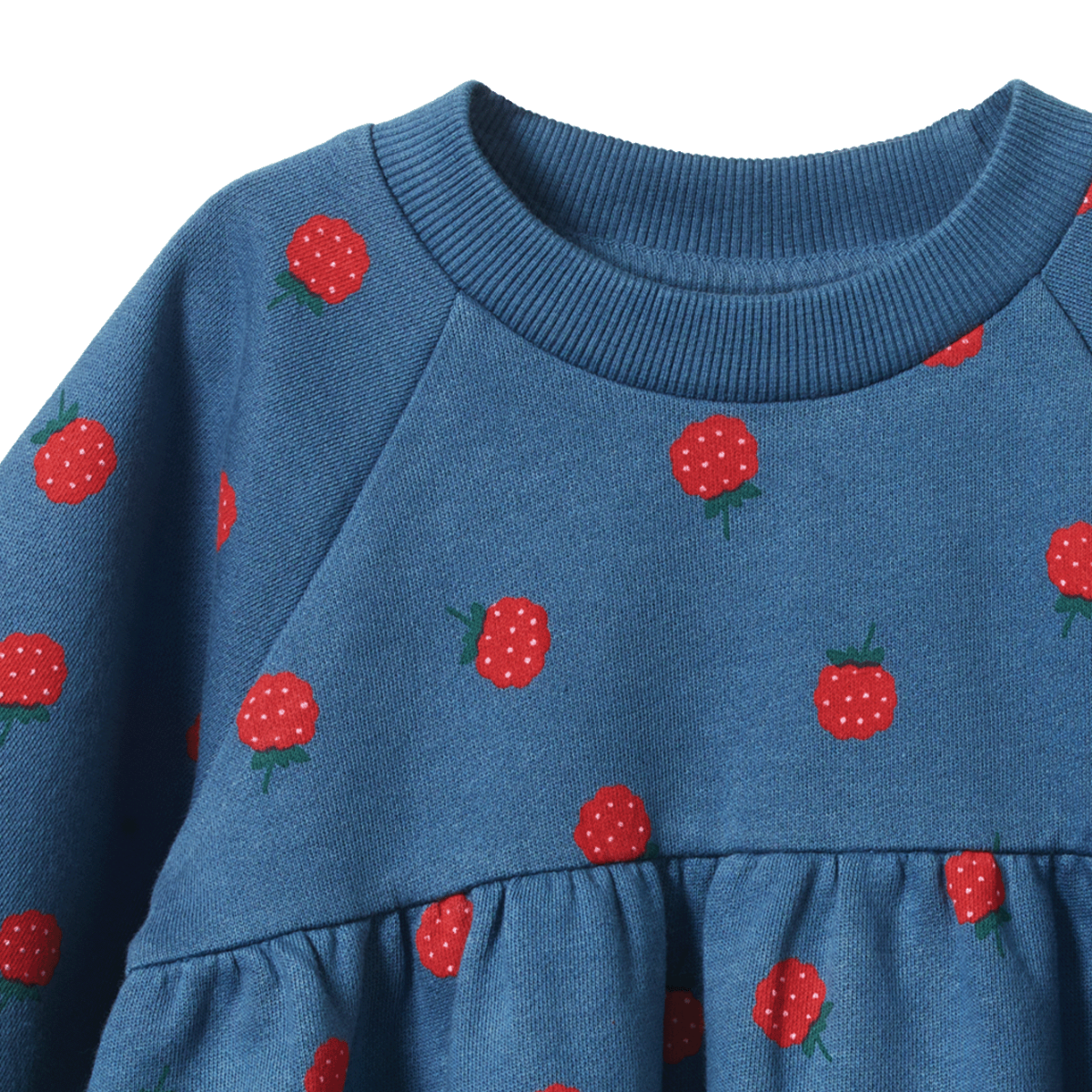 Nature Baby - Ines Dress Raspberry Blue Print
