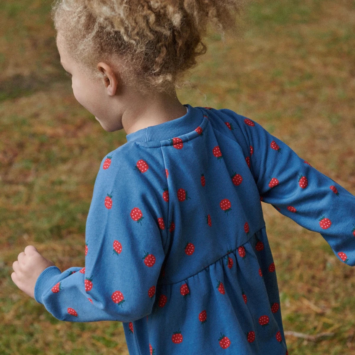 Nature Baby - Ines Dress Raspberry Blue Print