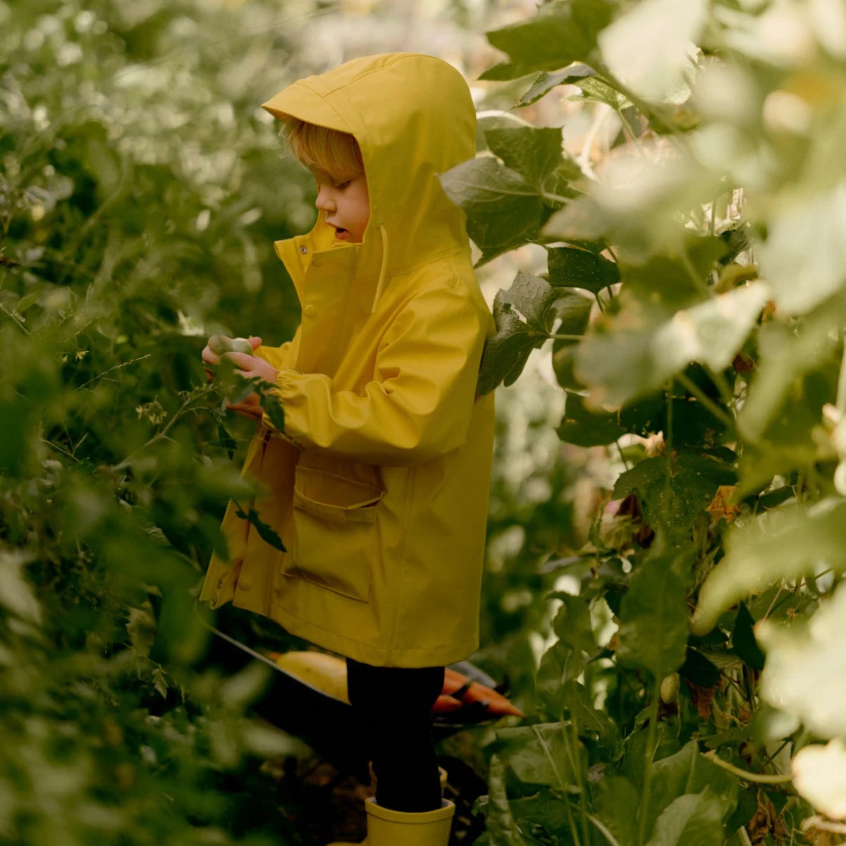 Nature Baby - Raincoat - Mustard