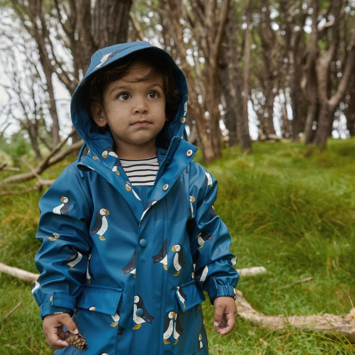 Nature Baby - Raincoat - Puffin Print