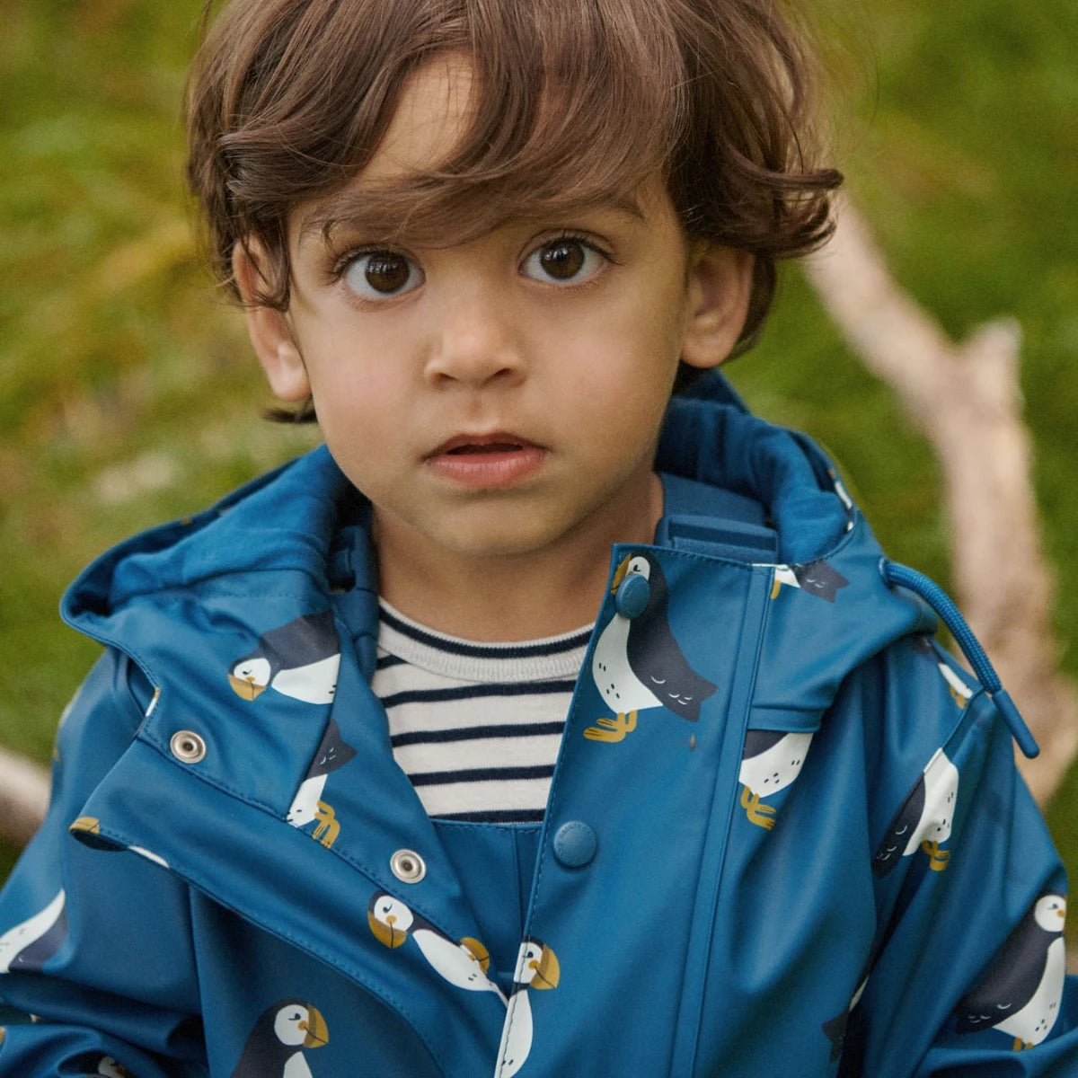 Nature Baby - Raincoat - Puffin Print