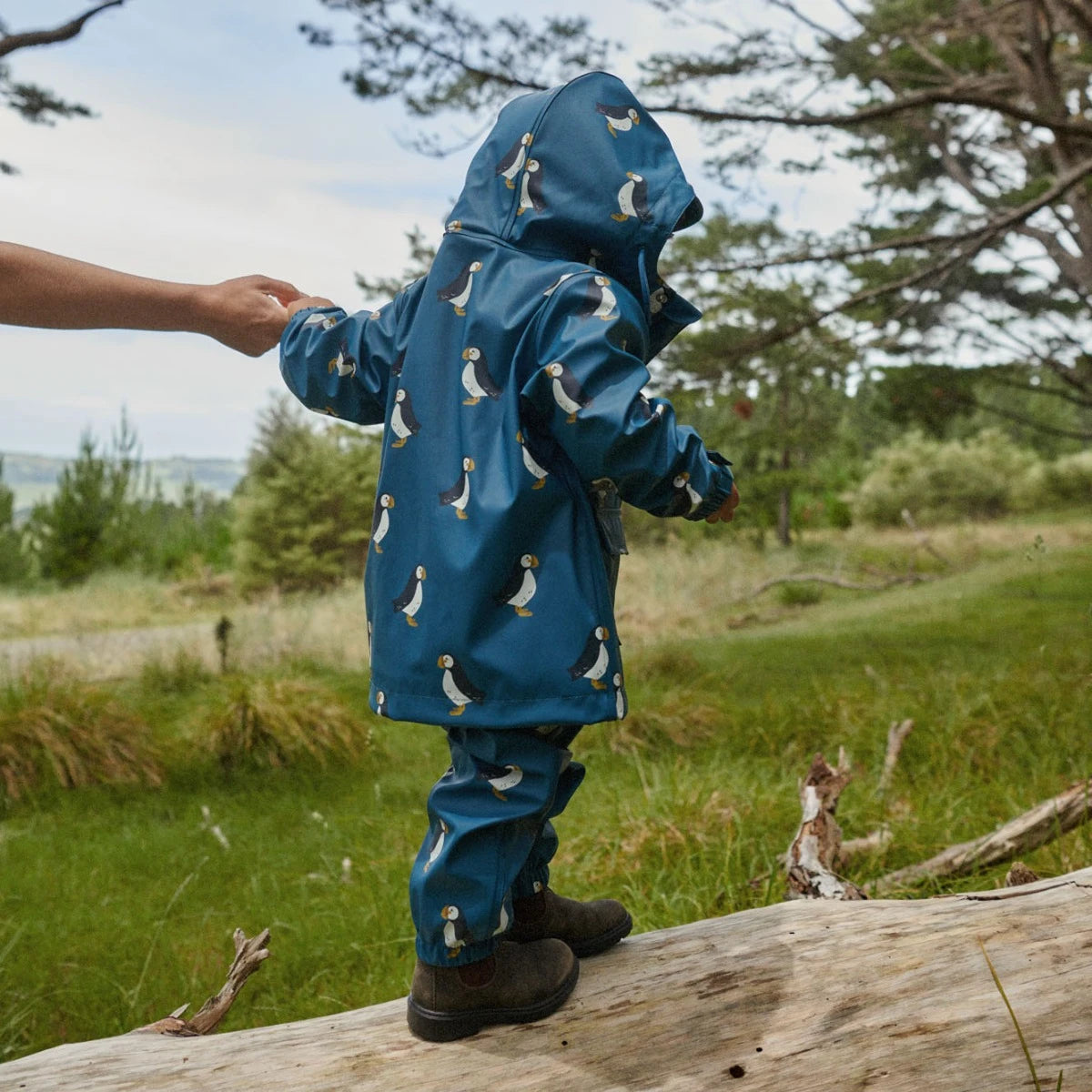 Nature Baby - Raincoat - Puffin Print