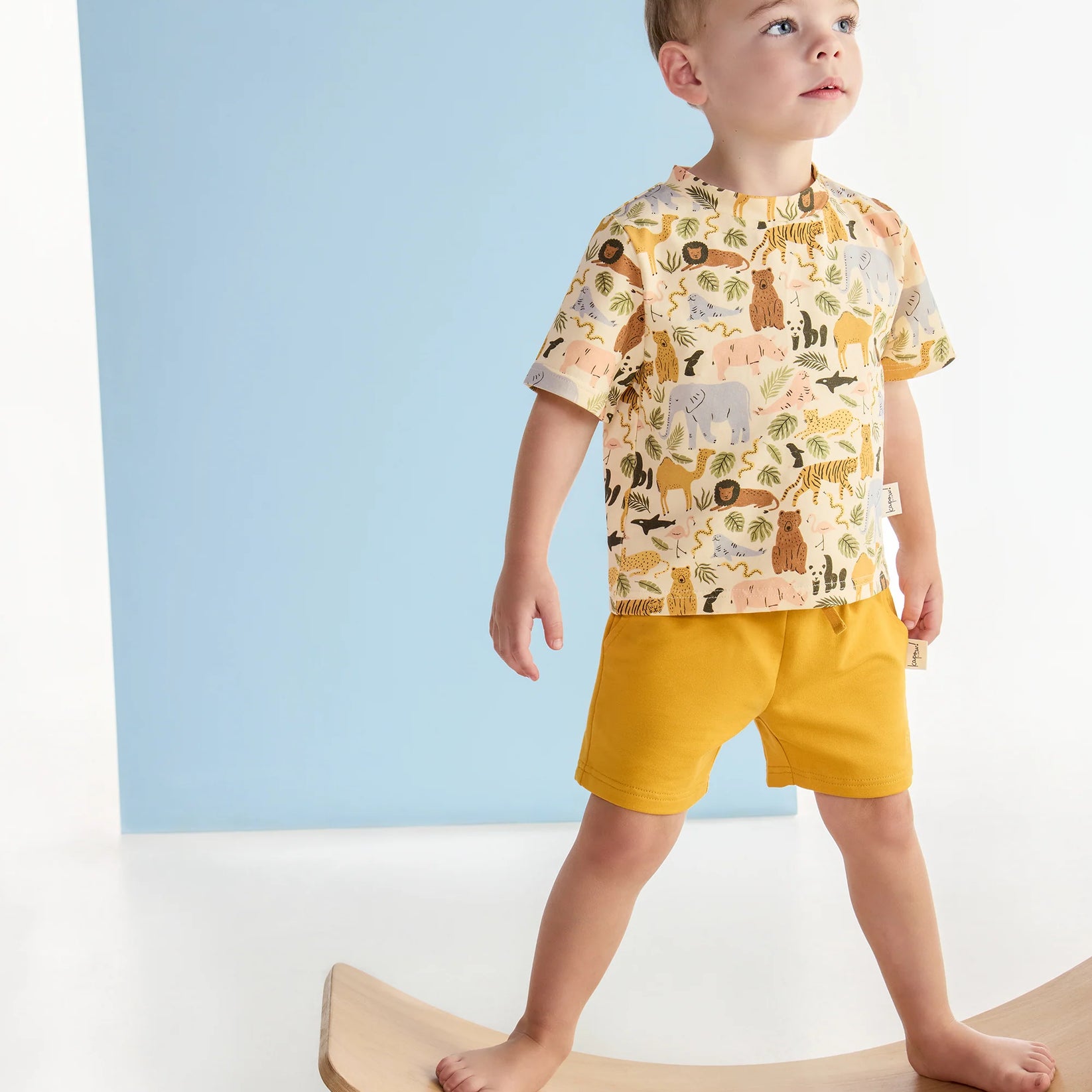 Kapow Kids - Animal Kingdom Shorts