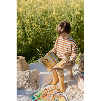 Sassi - Stickers & Activity Book - Dinosaurs