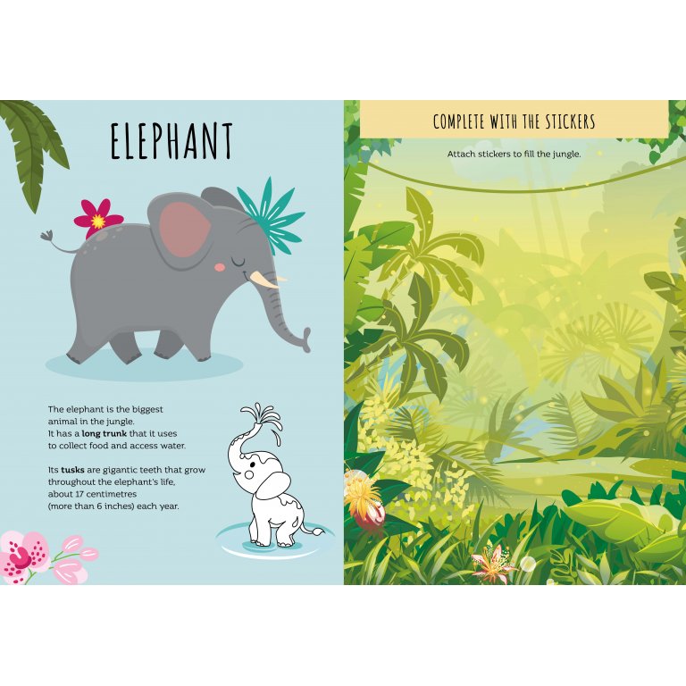 Sassi - Stickers & Activity Book - The Jungle