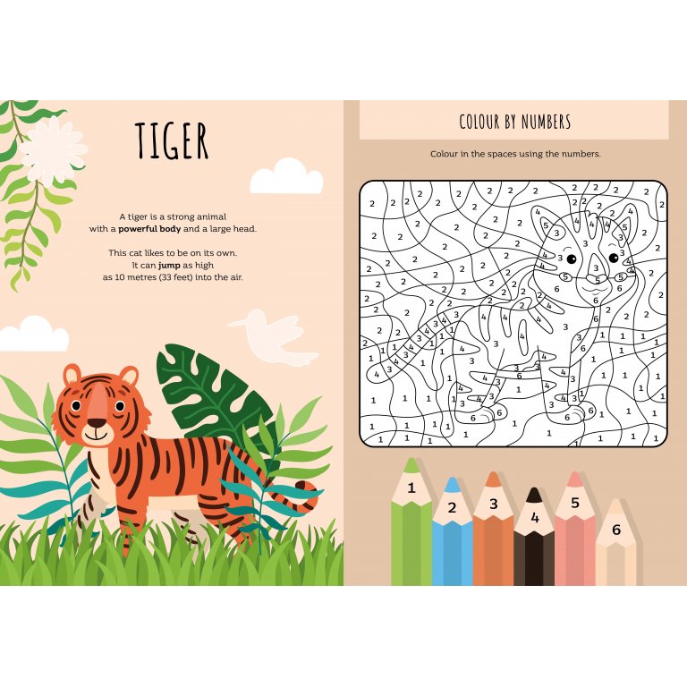 Sassi - Stickers & Activity Book - The Jungle