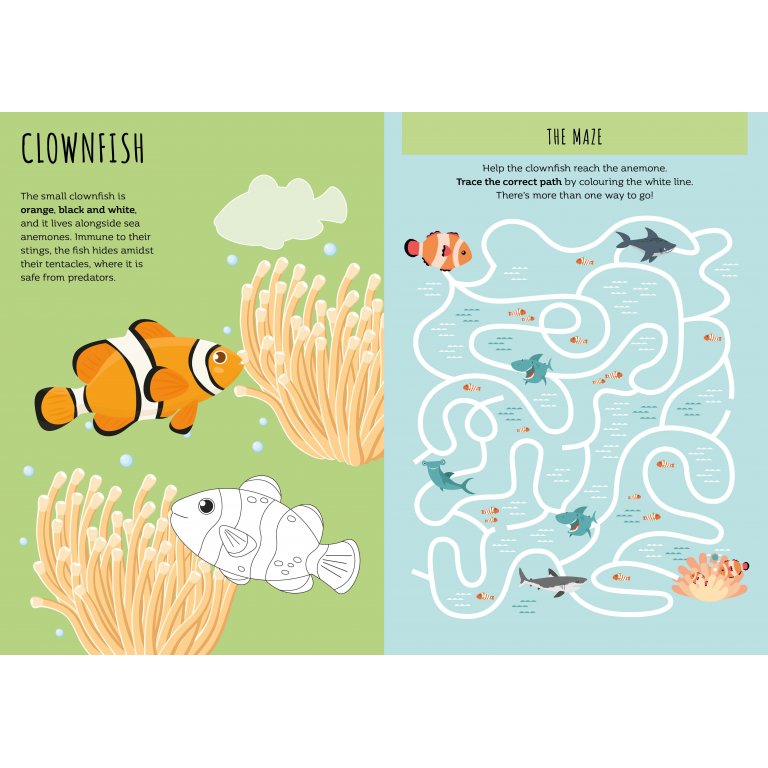 Sassi - Stickers & Activity Book - The Sea