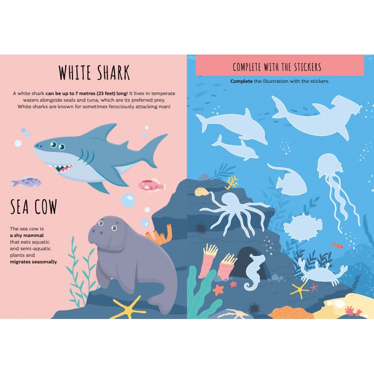 Sassi - Stickers & Activity Book - The Sea