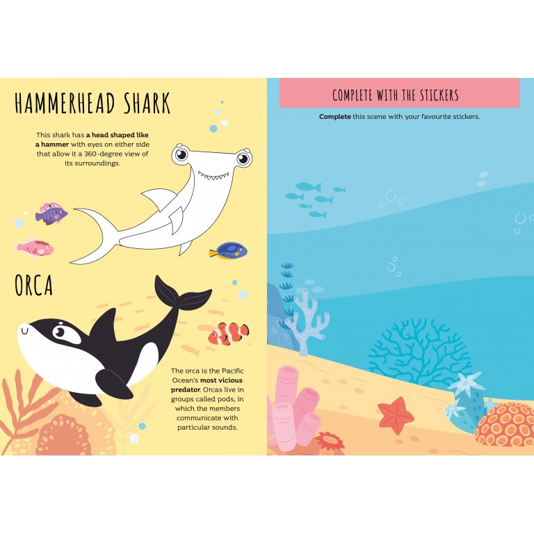 Sassi - Stickers & Activity Book - The Sea