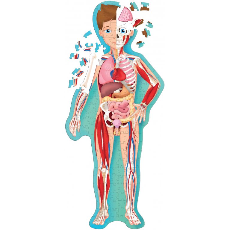 Sassi Science - The Human Body - Puzzle and Book