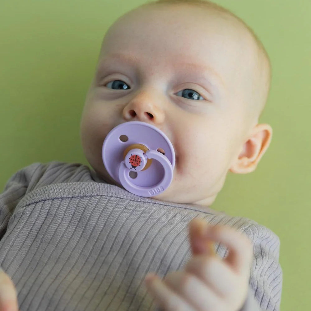 BIBS - STUDIO Colour 2 Pack Ladybug - Violet Sky/Petal