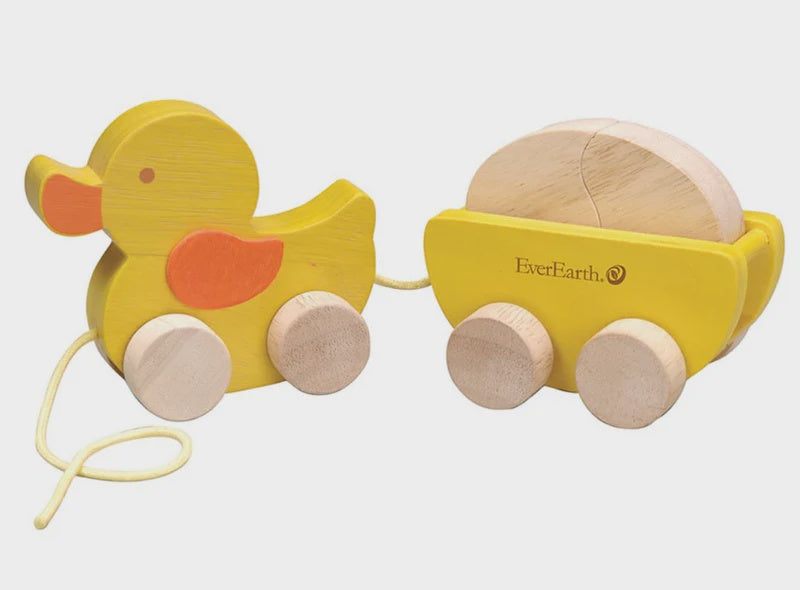 EverEarth - Pull Along Duck & its Egg