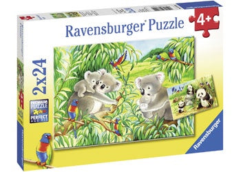 Ravensburger - Puzzle 2 x 24pc - Sweet Koalas adn Pandas