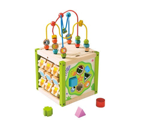 EverEarth - My First Multi-Play Activity Cube