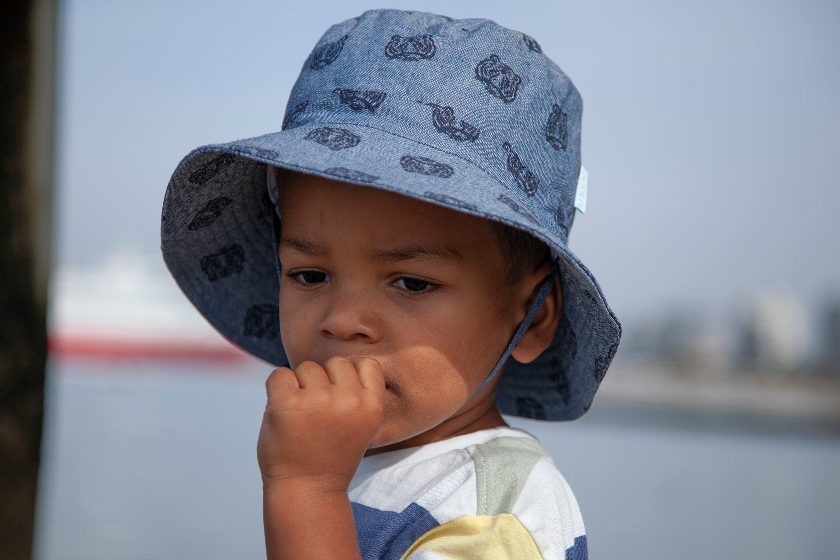 Acorn - Tiger Face Bucket Hat